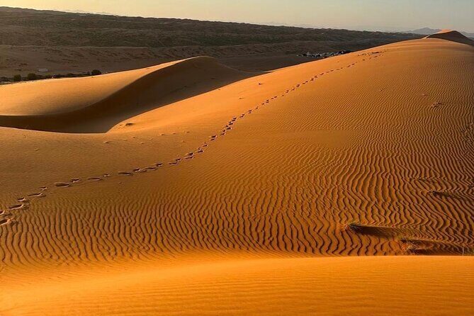 Private Safari tour and Wadi in 4x4 with a local guide - Key Points