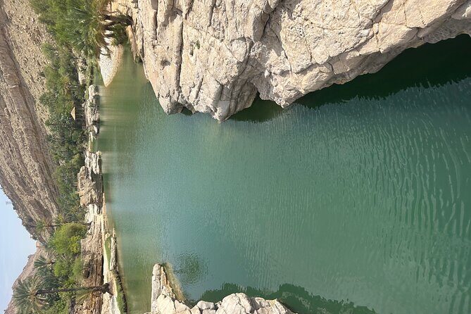 Private Safari tour and Wadi in 4x4 with a local guide - Who Will Love This Tour?