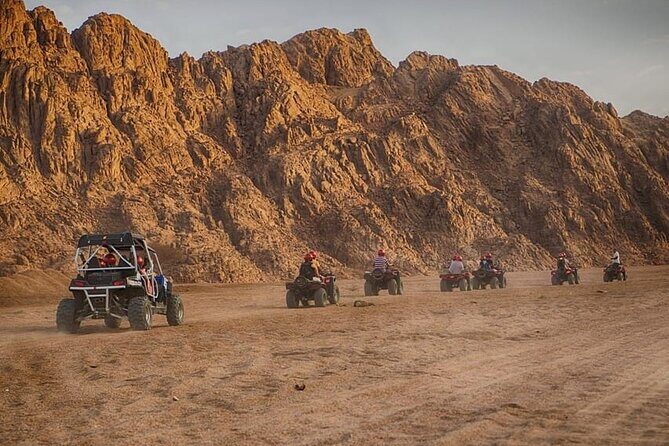 Private Safari Tour & Camel Ride in Sinai Desert of Sharm - Key Points
