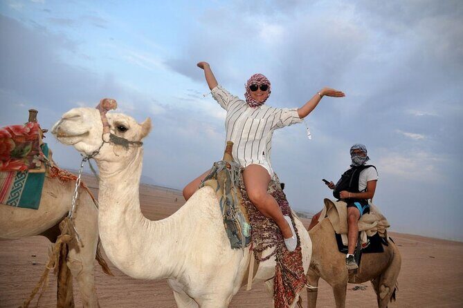 Private Safari Tour & Camel Ride in Sinai Desert of Sharm - FAQ