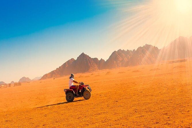 Private Safari Tour in Luxor - Key Points: