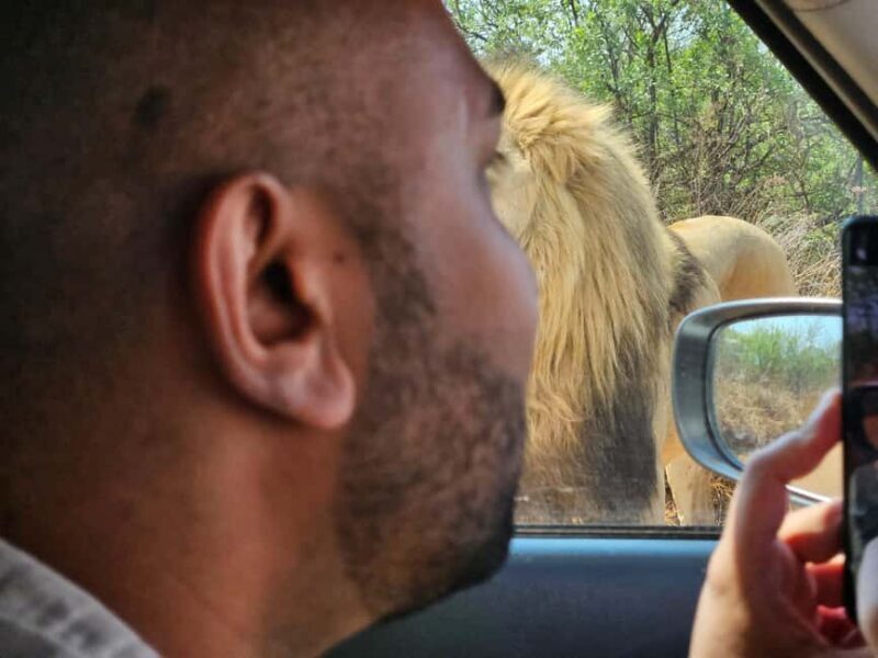 Private Safari Tour: Pilansberg National Park Big 5 - The Itinerary and Experience