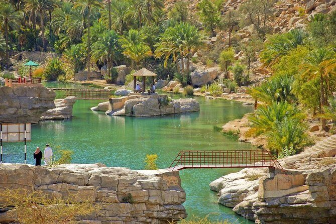 Private Safari Wahiba Sands and Wadi Bani Khalid from Muscat - What Makes This Tour Stand Out