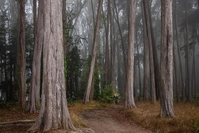 private-san-francisco-sunrise-photography-experience-2