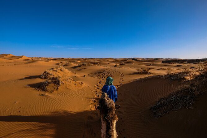 Private Sand Boarding with Camel Ride and Platinum Camp in Safari - What Reviewers Have Praised