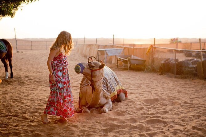 Private Sand Boarding with Camel Ride and Platinum Camp in Safari - Who Should Consider This Tour?