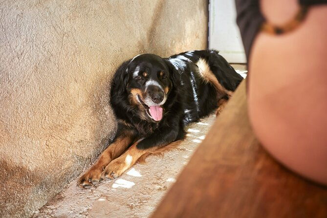 private-sandal-making-in-palma-de-mallorca