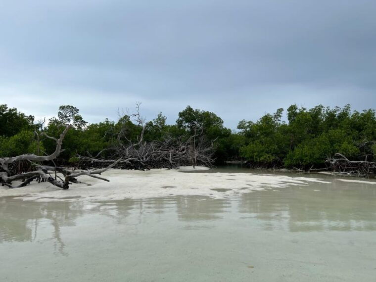 private-sandbar-adventure-in-the-key-west-backcountry