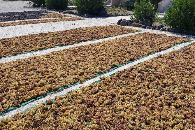 private-santorini-wine-tasting-tour-3-wineries-and-light-bites