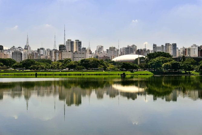 private-sao-paulo-shore-excursion-from-santos-port-8h