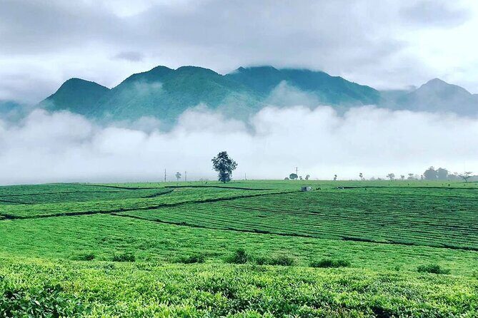 Private Sapa Motorbike Tour - Tea Hill - Why This Tour Offers Great Value