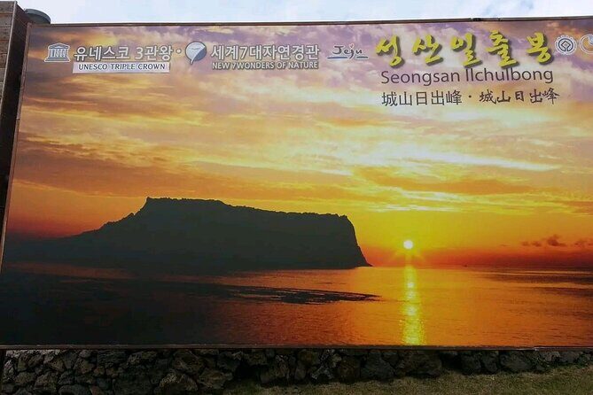 Private schedule Day Tour With Local Taxi Driver in jeju island - What Makes This Tour Special?