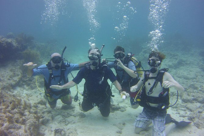 private-scuba-dive-the-reefs-of-key-largo-for-up-to-8-certified-divers-2