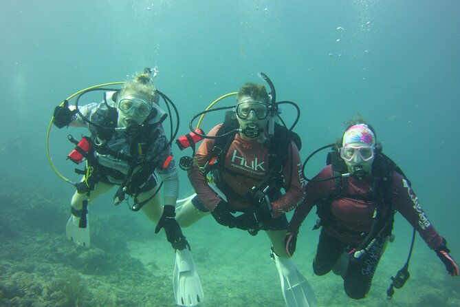private-scuba-dive-the-reefs-of-key-largo-for-up-to-8-certified-divers-2