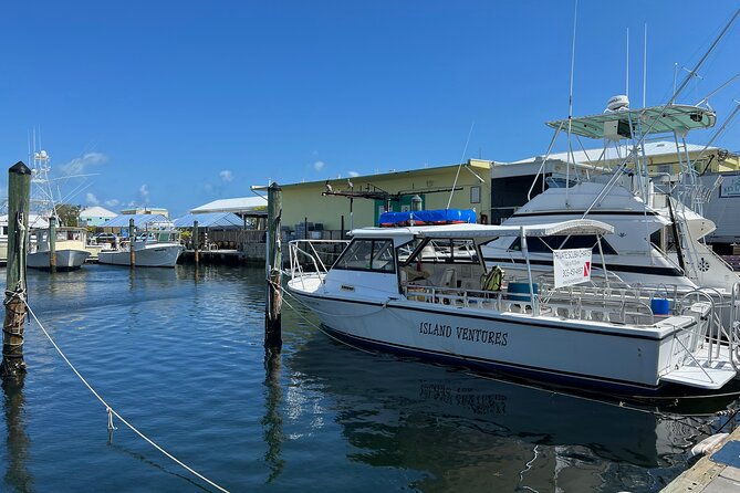 private-scuba-dive-the-reefs-of-key-largo-for-up-to-8-certified-divers-2