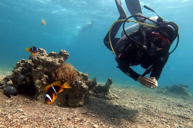 Private Scuba Diving Adventure in the Red Sea of Aqaba - FAQs
