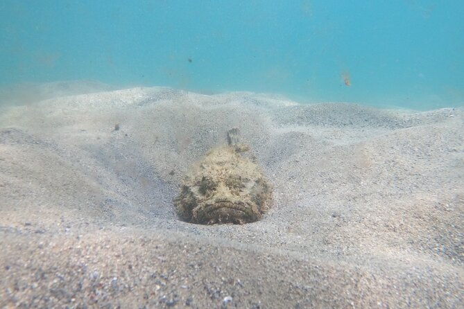 private-scuba-diving-and-snorkeling-tours-in-puerto-rico