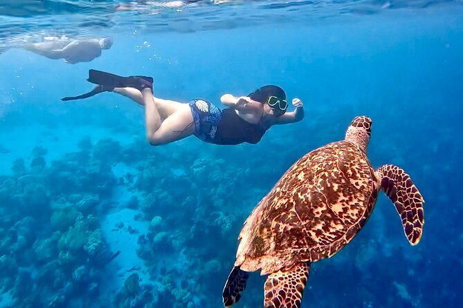 private-scuba-diving-charter-in-bonaire-marine-park
