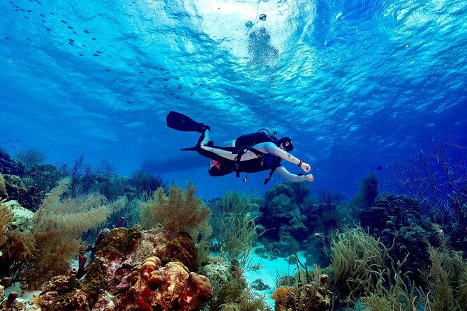 private-scuba-diving-charter-in-bonaire-marine-park