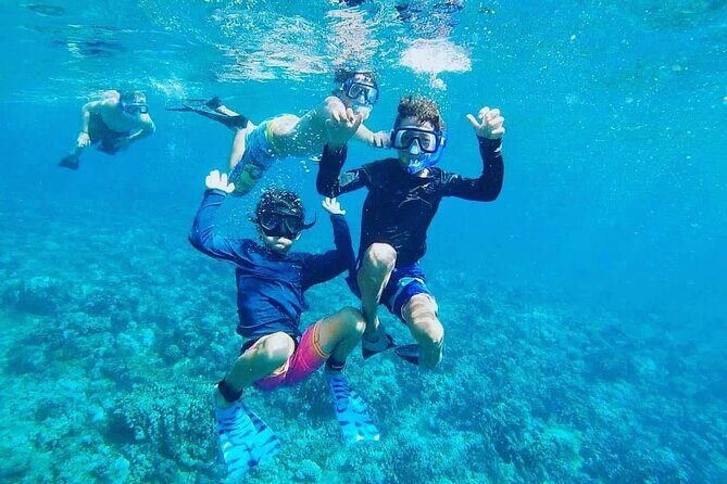 Private Scuba Diving Experience at Marine Park Included Lunch - The Sum Up