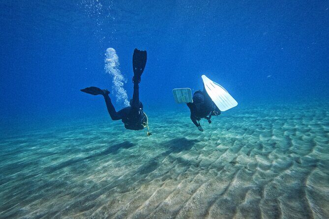 Private Scuba Diving in Tenerife  Certified Instructor & Photos - Logistics & Practical Details
