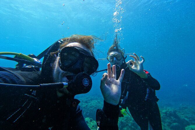 Private Scuba Diving in Tenerife  Certified Instructor & Photos - Final Thoughts: Who Is This Tour Perfect For?