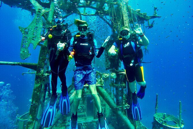 Private Scuba Diving Tour with Transportation and Guide - Key Points