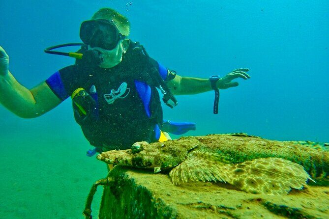 Private Scuba Diving Tour with Transportation and Guide - The Cost-Value Balance