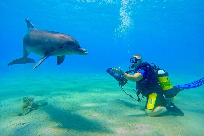 Private Scuba Diving Tour with Transportation and Guide - Authentic Experiences and Real Feedback