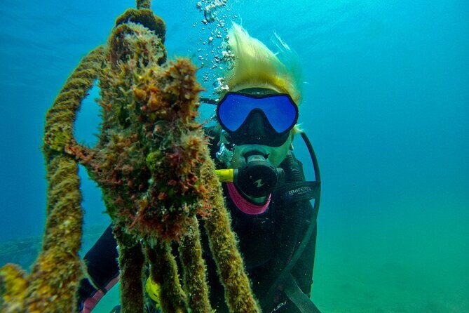 Private Scuba Diving Tour with Transportation and Guide - Practical Details