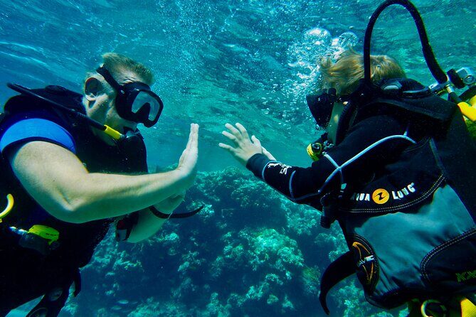 Private Scuba Diving Tour with Transportation and Guide - Who Should Consider This Tour?