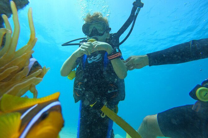 Private Scuba Diving Tour with Transportation and Guide - Final Thoughts