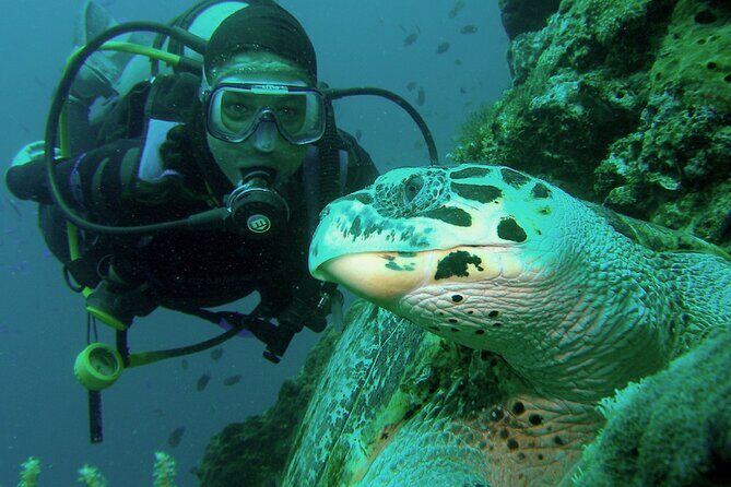 Private scuba diving trips Muscat - What’s Included and How It Works