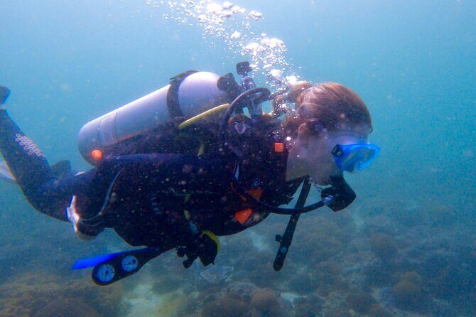Private scuba diving trips Muscat - What You Can Expect at Each Site