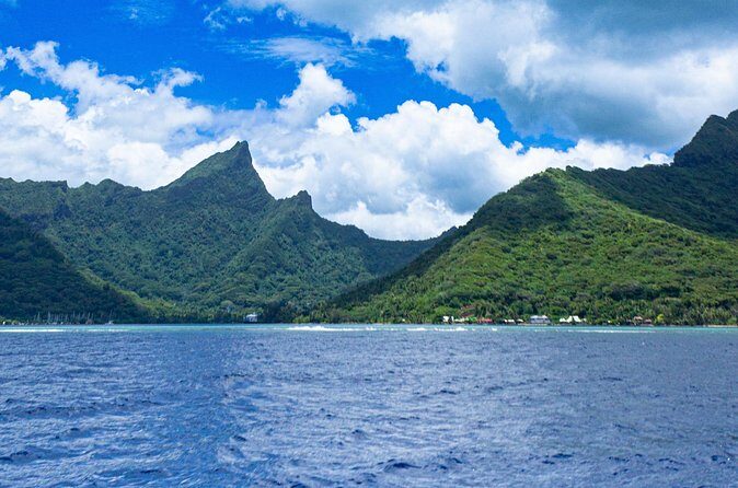 Private Sea Adventure in Moorea: A Day of Fishing Like a Local - Frequently Asked Questions
