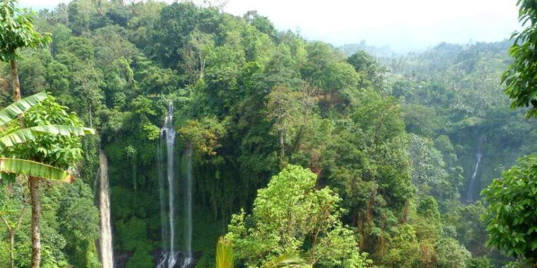 private-sekumpul-waterfall-hiking-tour