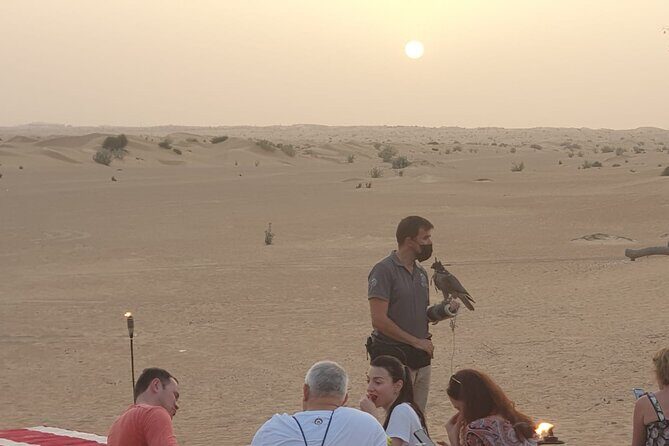 Private setup, Falcon photo , Dinner, Sunset in middle of Desert - References