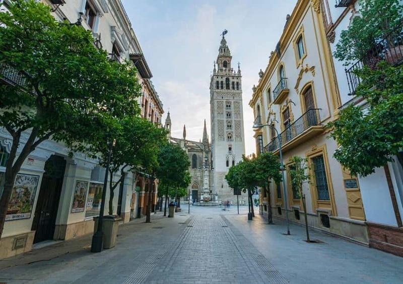 Private Seville: exclusive tour of Santa Cruz and the historic center - A Look at Seville’s Hidden Gems: Private Tour of Santa Cruz and the Historic Center