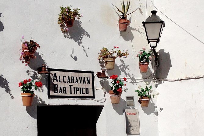 Private Seville Transfer to Malaga Including Visit to Ronda - Exploring Ronda: A Top-Stop Highlight