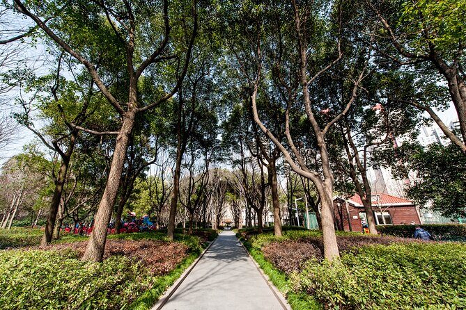 Private Shanghai Walking Tour:Shikumen,Jade Buddha,M50,1000 TREES - Final Thoughts: Is This Tour Right for You?