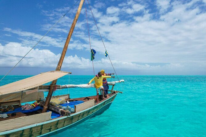 Private/Sharing: Snorkeling with Dolphins Sandbank in Mnemba - Key Points