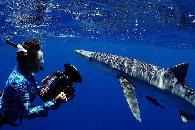 private-shark-dive-oahu-hawaii-6-guest