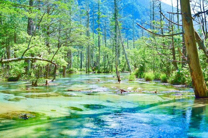private-shinhotaka-ropeway-and-kamikochi-tour