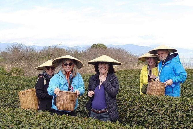 private-shizuoka-tour-from-shizuoka-station-small-bus
