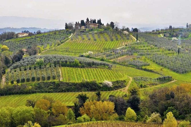private-shore-excursion-from-livorno-port-tuscany-highlights