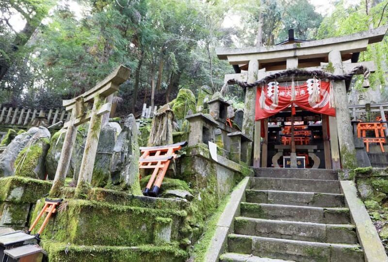 Private Shore Excursion Fukuoka Shrines Tour - Demon Slayer - Key Points
