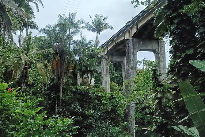 private-shore-excursion-hilo-land-of-frozen-fire-up-to-14