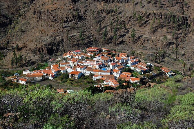 private-shore-excursion-in-gran-canaria-the-miniature-continent-2