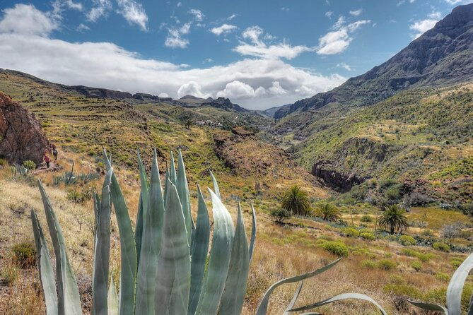 private-shore-excursion-in-gran-canaria-the-miniature-continent-2
