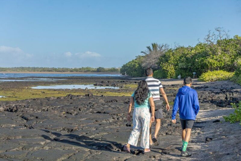 private-shore-excursion-kona-coffee-national-historic-park